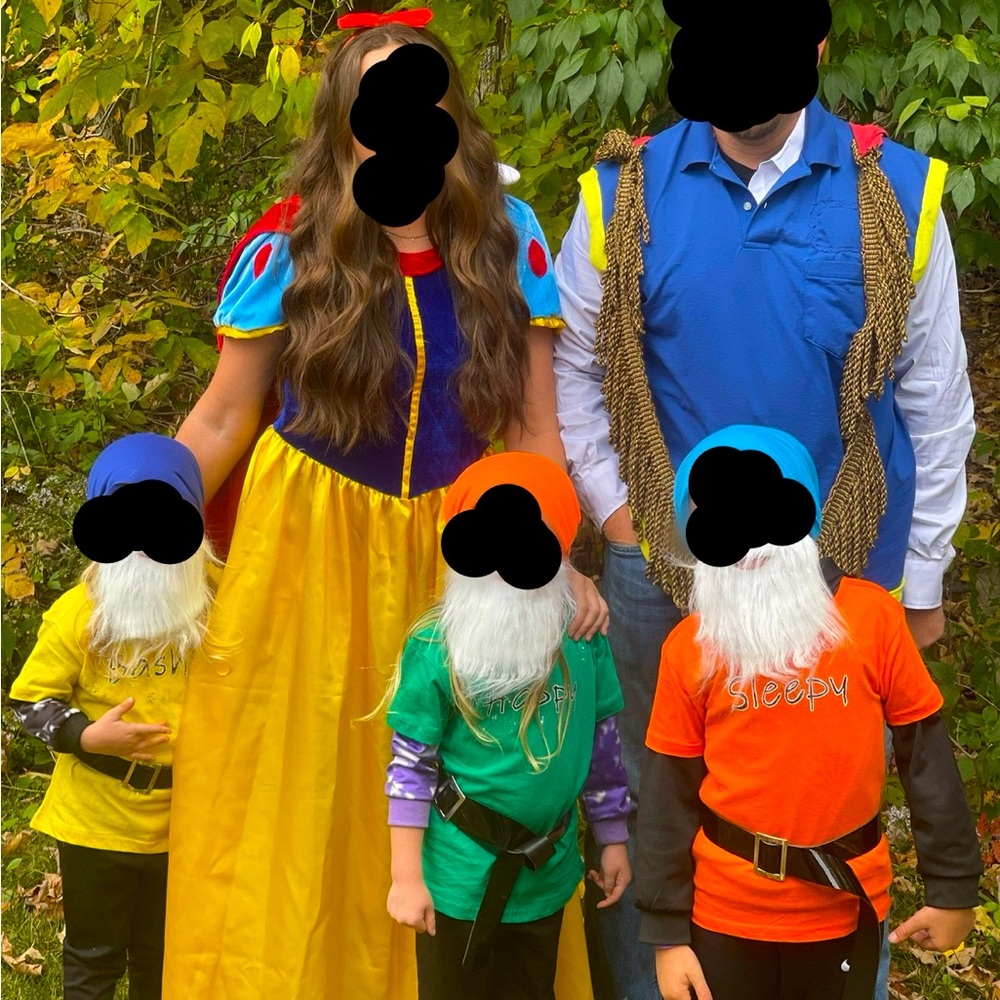 Family of 5 Snow White Character Costumes